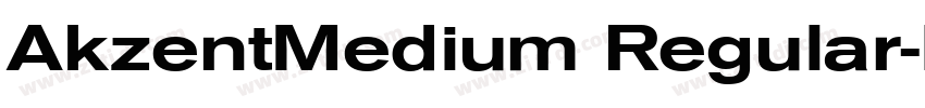 AkzentMedium Regular字体转换